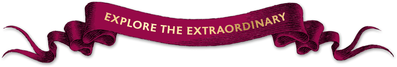 Explore the Extraordinary