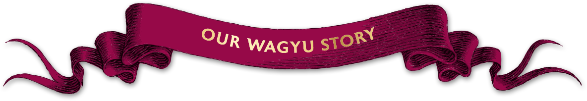 Our Wagyu Story